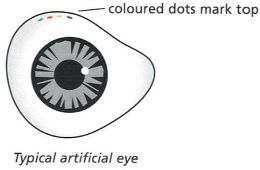 Diagram of an Artificial Eye With Coloured Dots