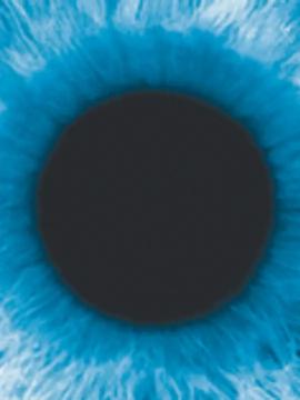 Iris placeholder icon