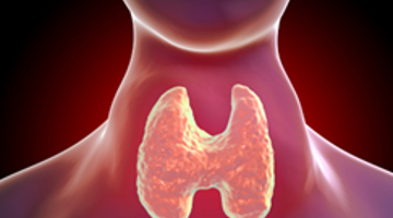 Thyroid close up image