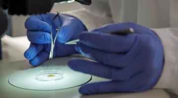 Researcher hands working under lab conditions